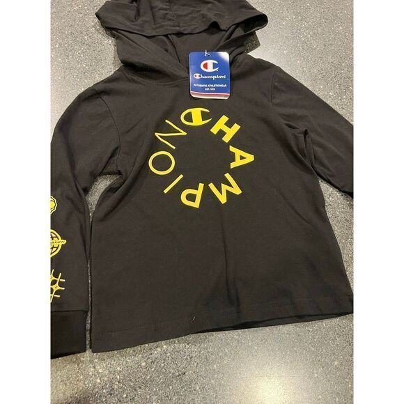 Champion toddler lightweight hoodie size 4 - Picture 4 of 9